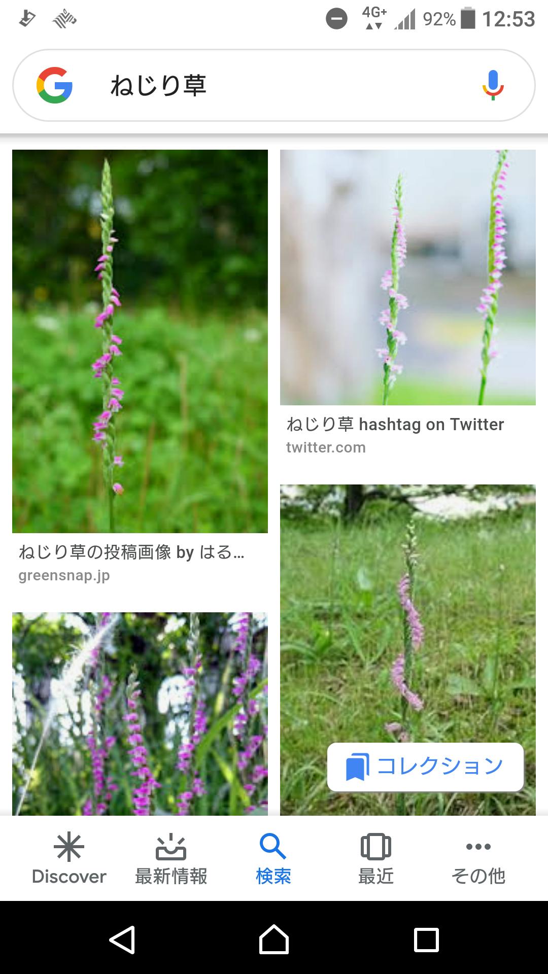 雑草から有用植物へ 雑草で作った植物活力剤 Campfire キャンプファイヤー 雑草から有用植物へ 雑草で作った植物活力剤 Campfire キャンプファイヤー