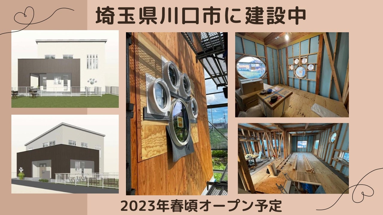 保護猫施設 カフェのオープンにご協力お願いいたします Campfire キャンプファイヤー 保護猫施設 カフェのオープンにご協力お願いいたします Campfire キャンプファイヤー