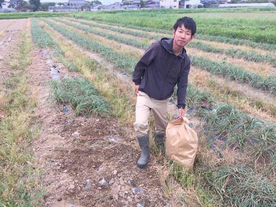 九州北部豪雨 平成30年豪雨復興支援 島らっきょうプロジェクト活動支援 Campfire キャンプファイヤー 九州北部豪雨 平成30年豪雨復興支援 島らっきょうプロジェクト活動支援 Campfire キャンプファイヤー