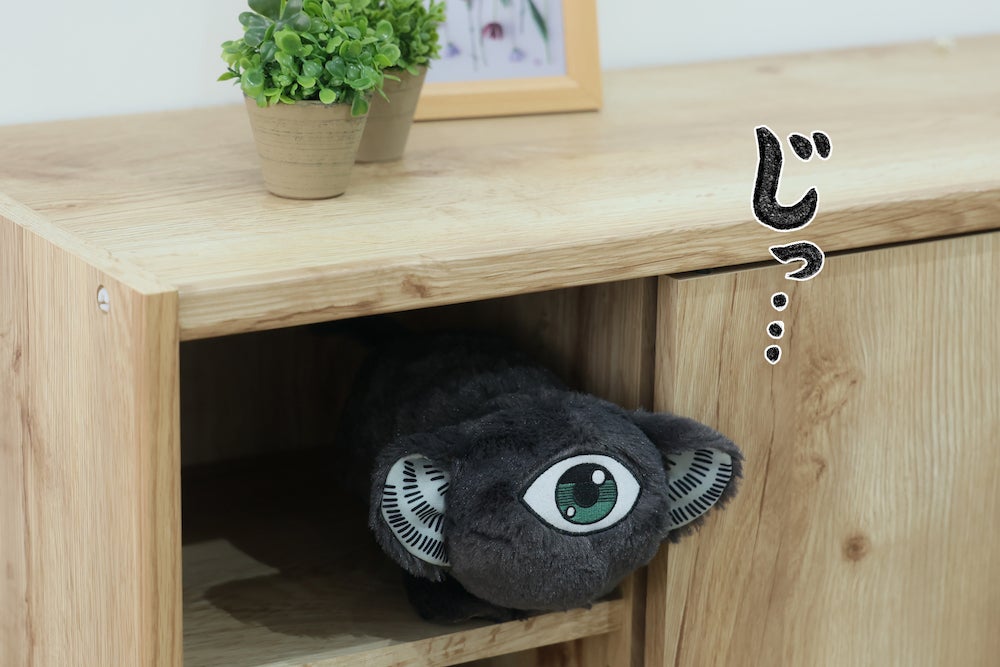 猫を拾った話。「ねこ」ぬいぐるみ化プロジェクト - CAMPFIRE