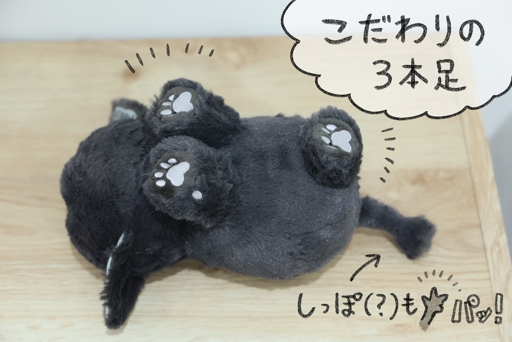 猫を拾った話。「ねこ」ぬいぐるみ化プロジェクト - CAMPFIRE