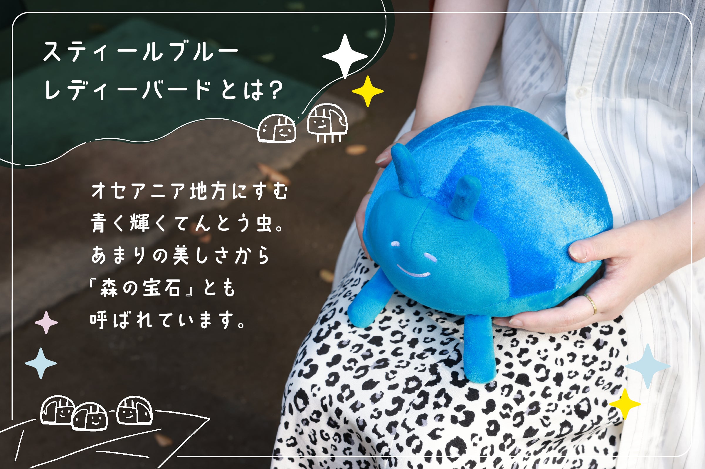 Final】毎日てんとう虫「あおくん」ぬいぐるみプロジェクト - CAMPFIRE