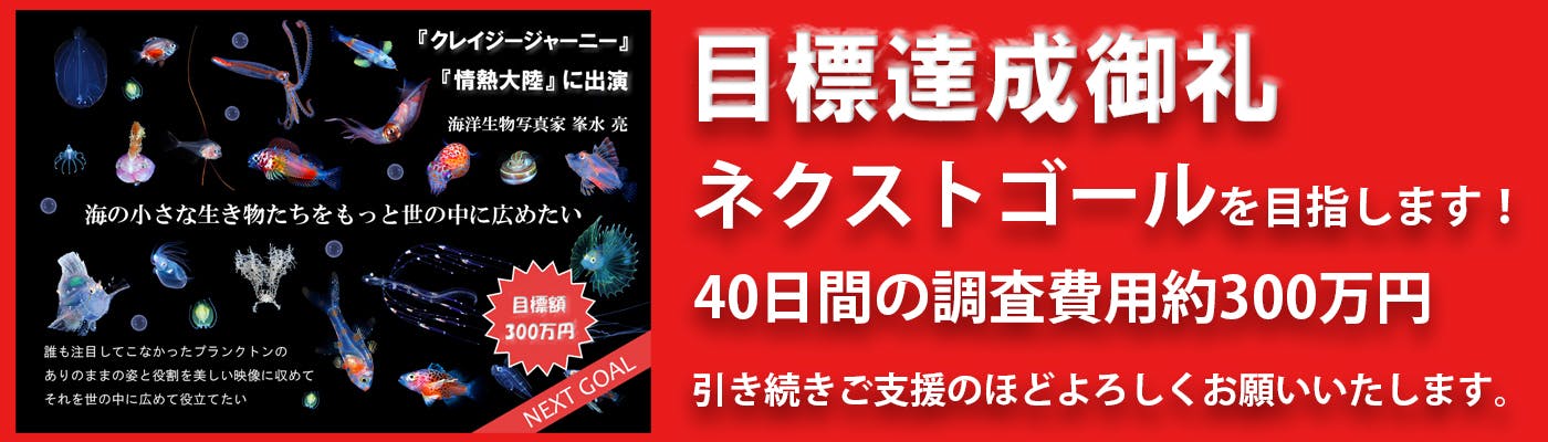 最安値で わくわく糸引きGOLD 40付 altaruco.com