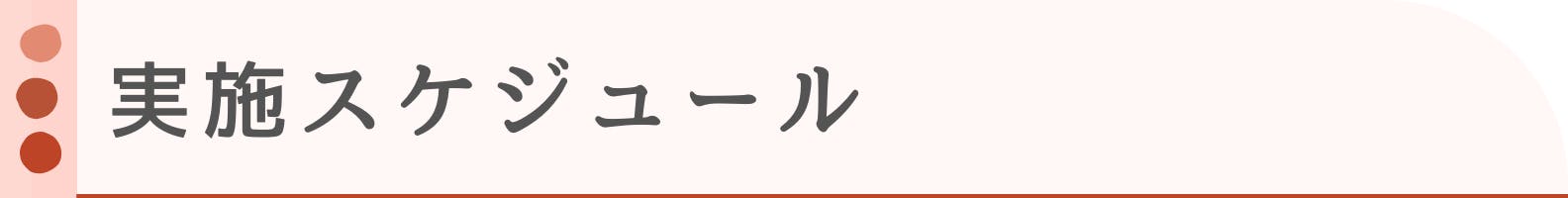 ◆実施スケジュール