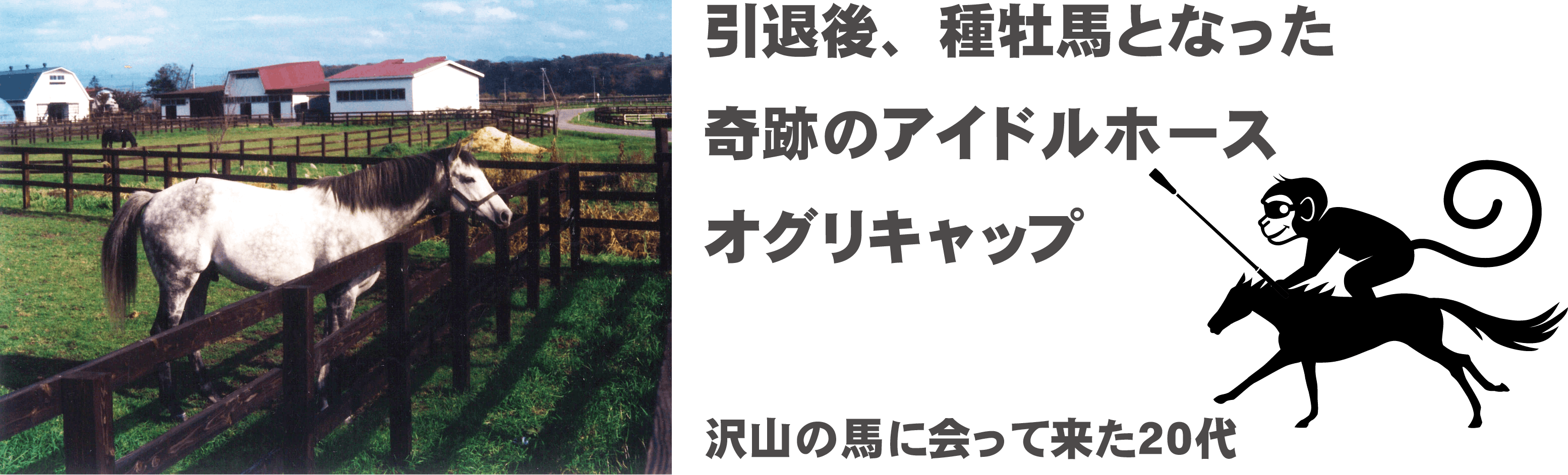 ホースと共にあらんことを Sarujkアイテム購入で競走馬の余生を応援しよう Campfire キャンプファイヤー ホースと共にあらんことを Sarujkアイテム購入で競走馬の余生を応援しよう Campfire キャンプファイヤー