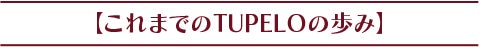 これまでのTUPELOの歩み