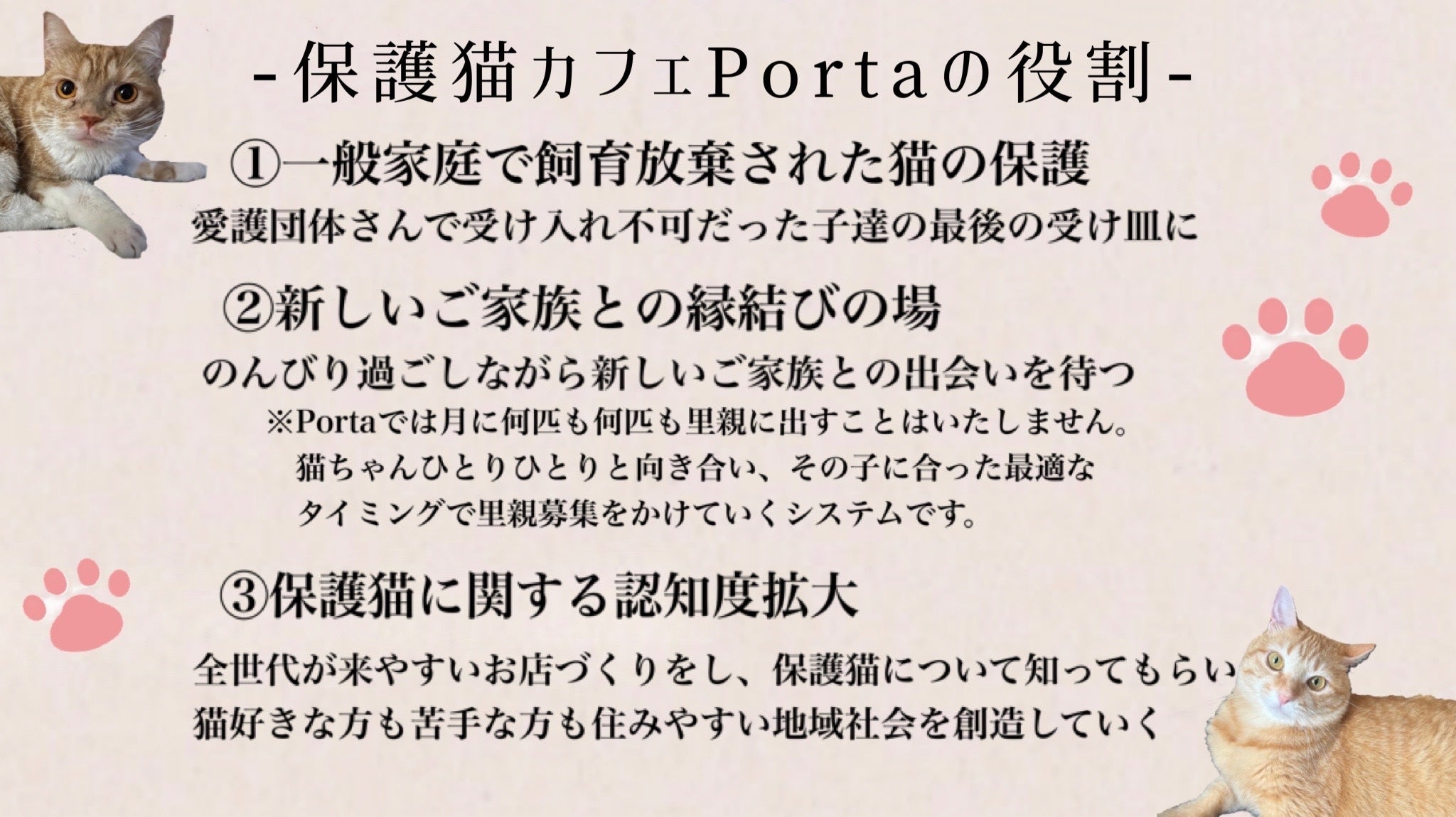 保護猫施設 カフェのオープンにご協力お願いいたします Campfire キャンプファイヤー 保護猫施設 カフェのオープンにご協力お願いいたします Campfire キャンプファイヤー