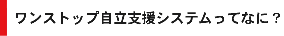 ワンストップ自立支援システムってなに?