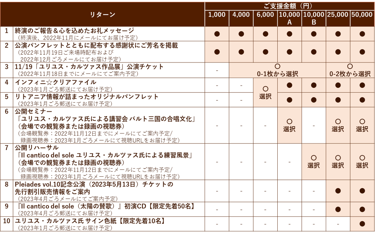 第九＆運命 チケットＳ席1枚 12月30日（土）東京オペラシティ - その他