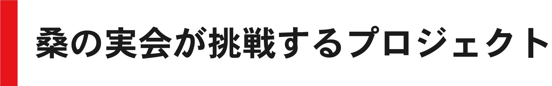 桑の実会が挑戦するプロジェクト
