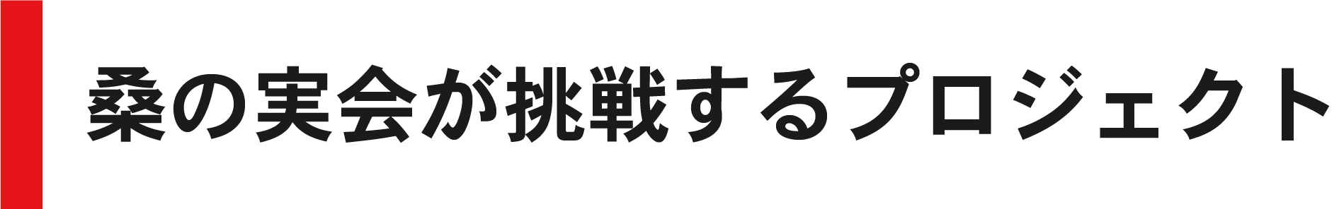 桑の実会が挑戦するプロジェクト