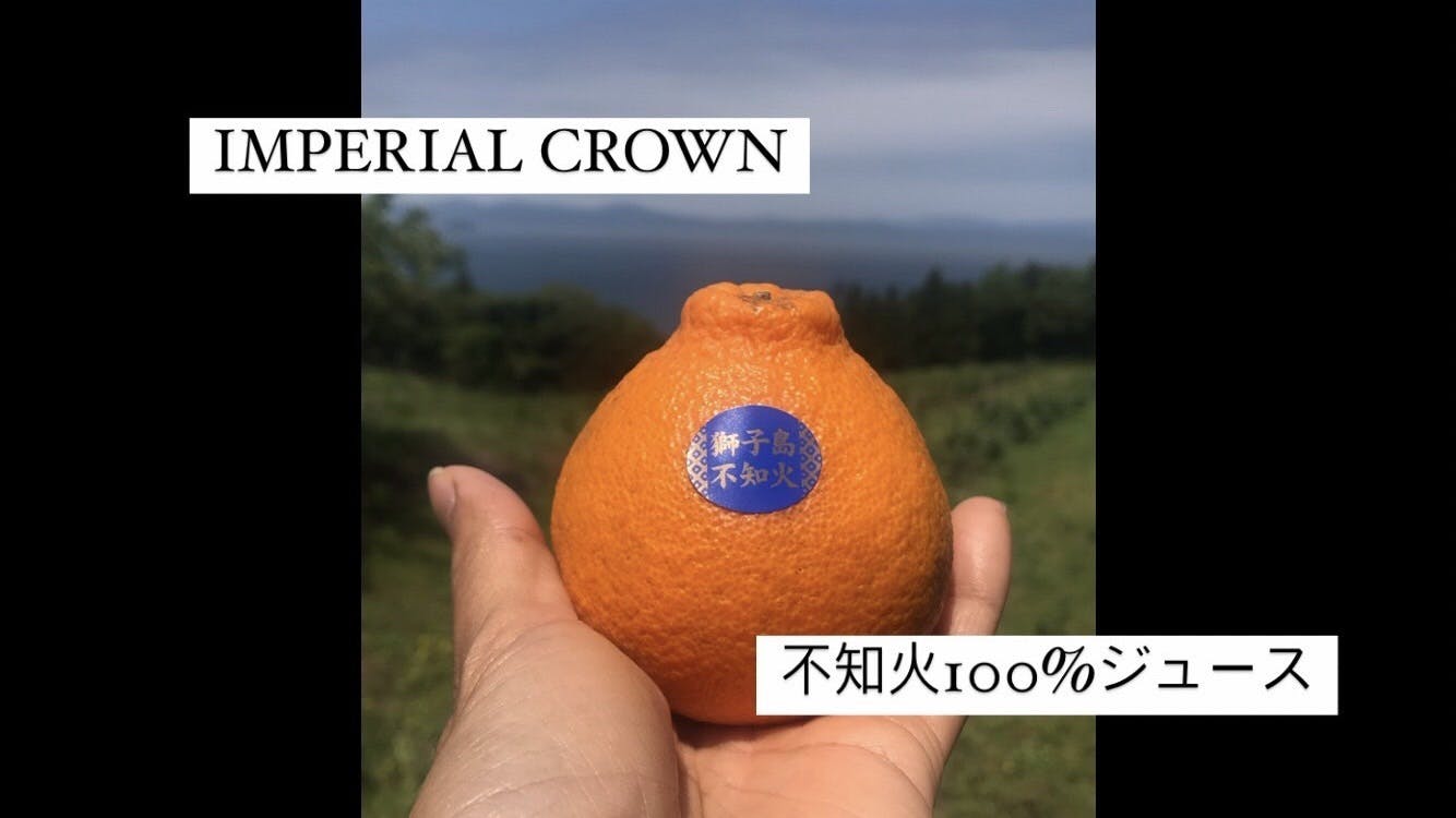 温州みかん発祥の薩摩から世界に挑める、みかんジュース界のロマネ