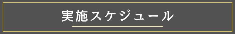 ◆実施スケジュール