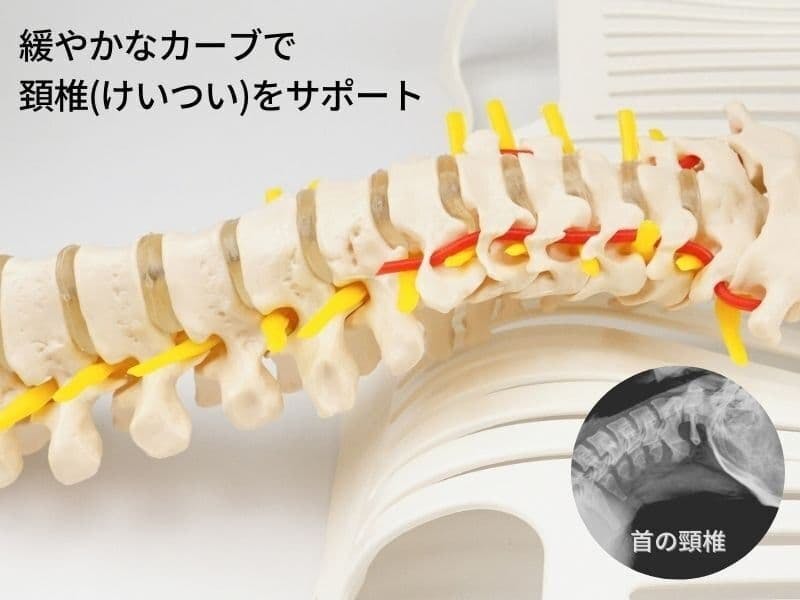 首の自然なカーブを保つ枕 ノーマル