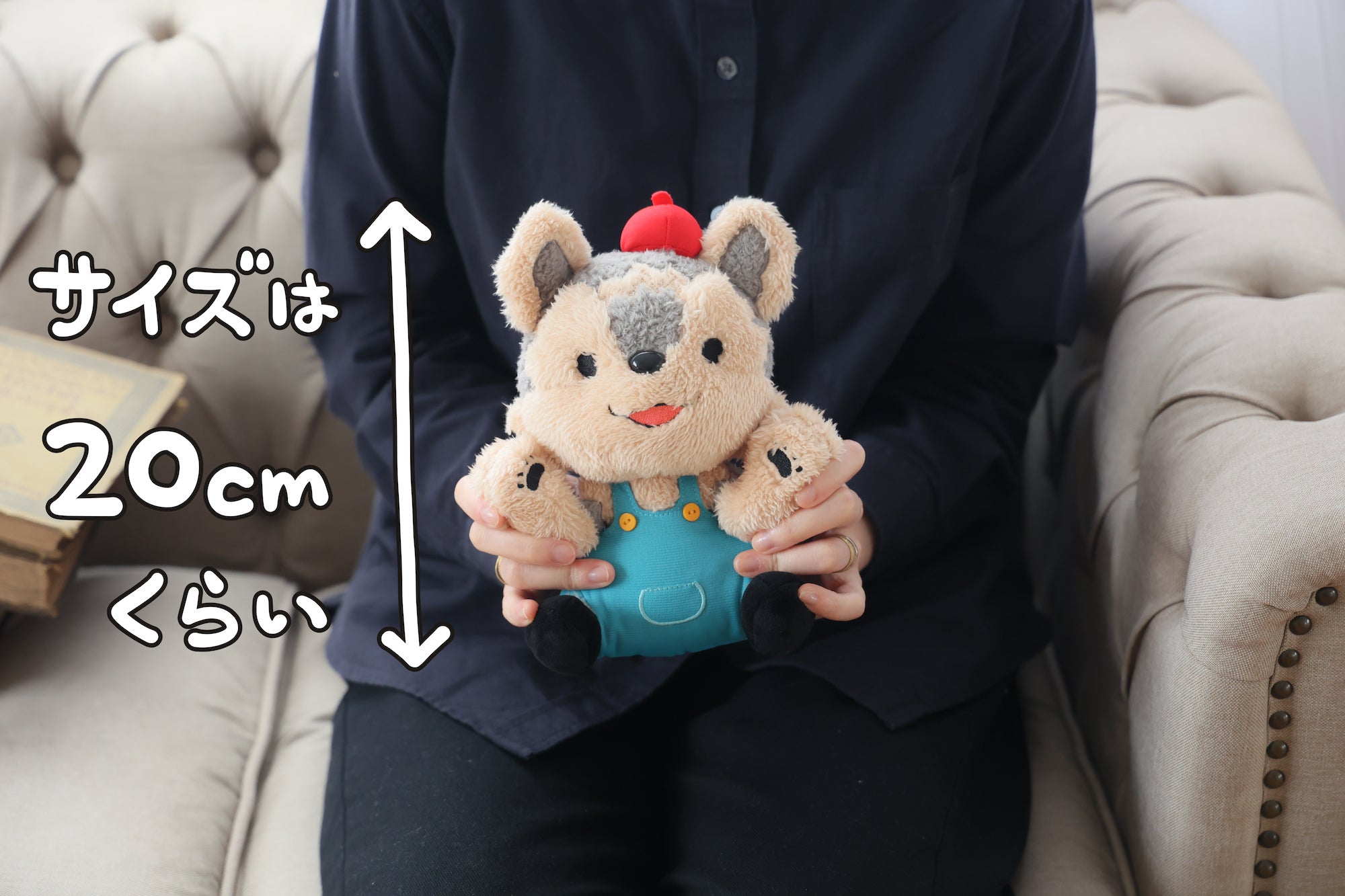 五月病マリオ チップくん ぬいぐるみ 五月病マリオ「チップくん」ぬいぐるみプロジェクト - CAMPFIRE