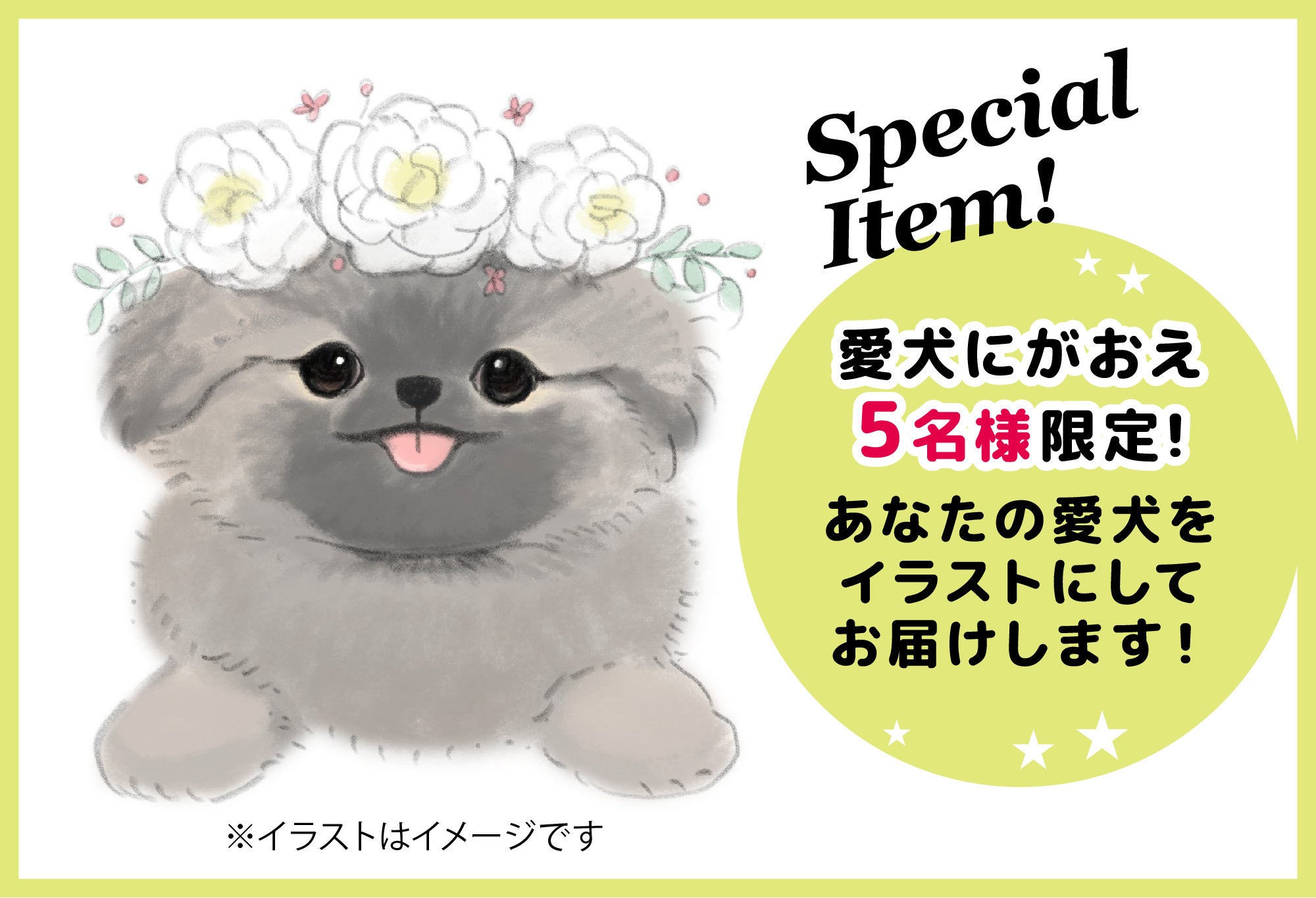 ふわふわポメの「ぽぽち」ぬいぐるみプロジェクト - CAMPFIRE