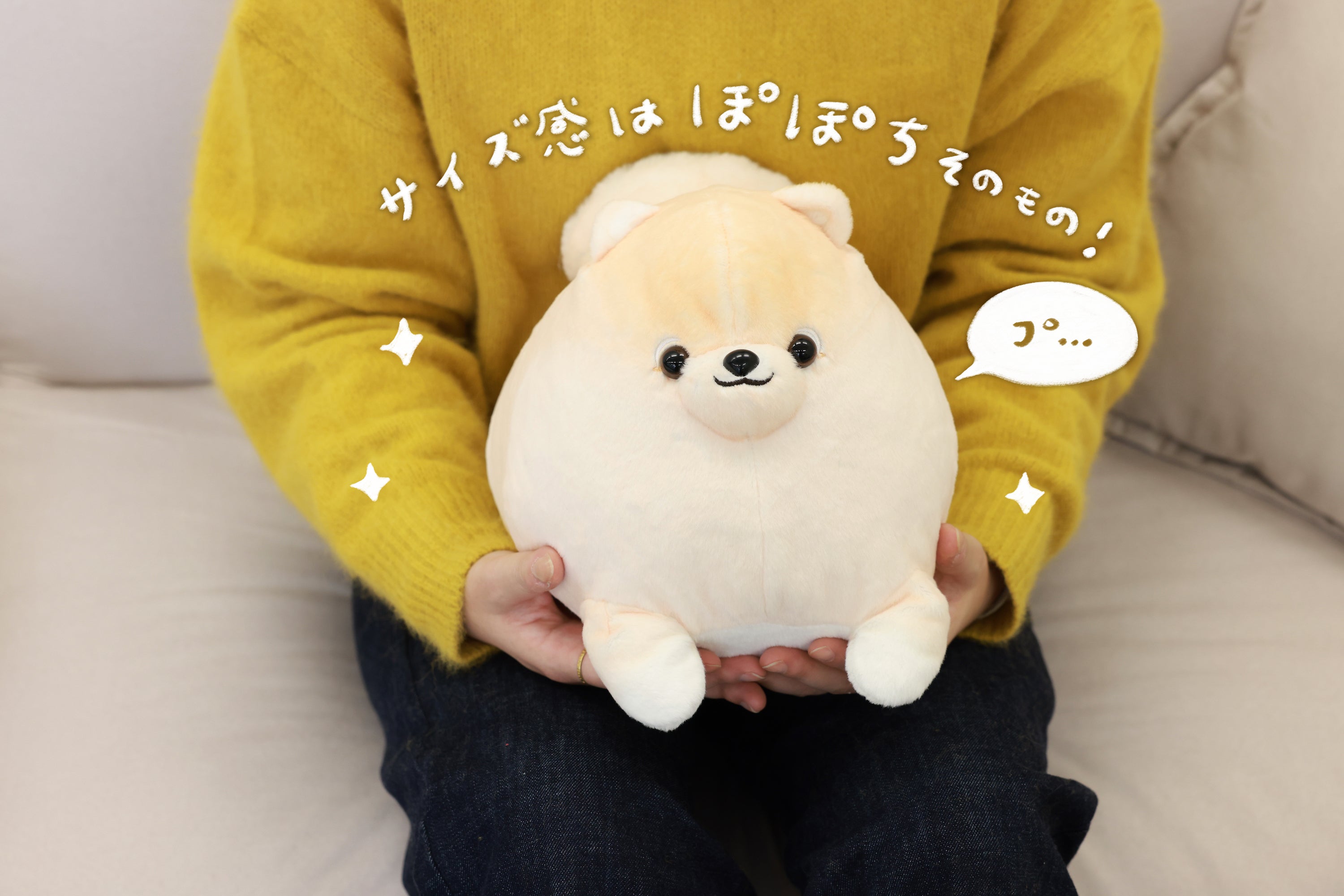 ぽぽち　レア　クラウドファンディング　ぬいぐるみ ポメラニアン　クラファン ふわふわポメの「ぽぽち」ぬいぐるみプロジェクト - CAMPFIRE