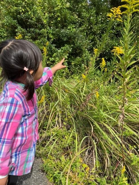 草の上に立っている女の子 
中程度の精度で自動的に生成された説明