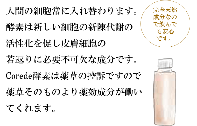 洗うことで美しさと健康が手に入る 今迄になかった全身ケア 洗身料corede Campfire キャンプファイヤー