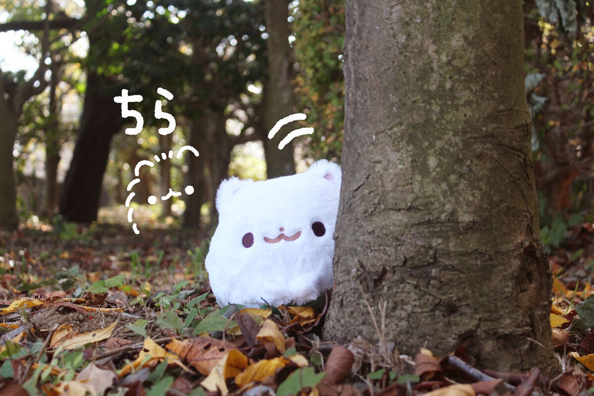 ポメラニアンもち ぬいぐるみプロジェクト - CAMPFIRE (キャンプ ポメラニアンもち ぬいぐるみプロジェクト - CAMPFIRE (キャンプ