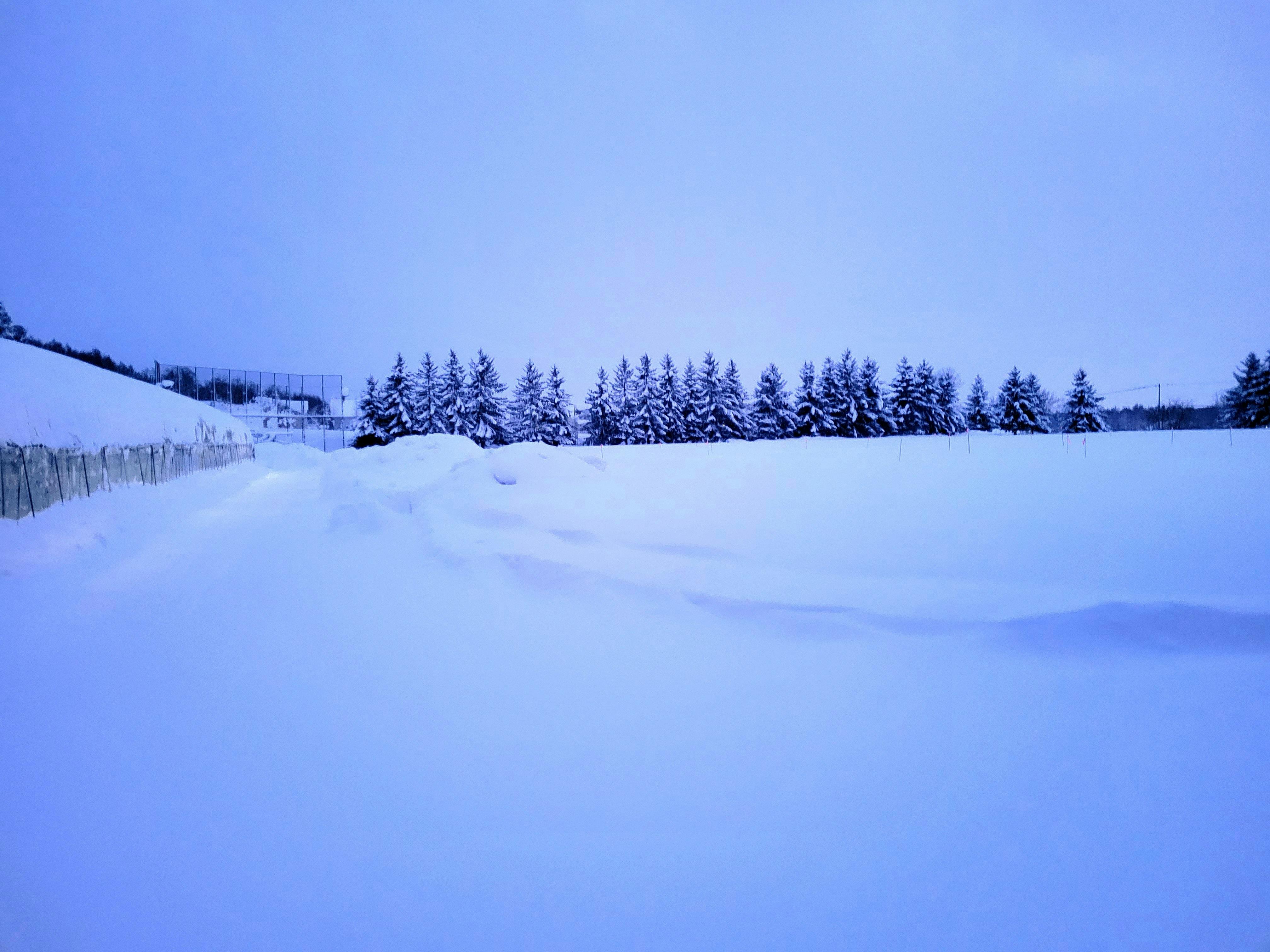 グラウンドは雪一色