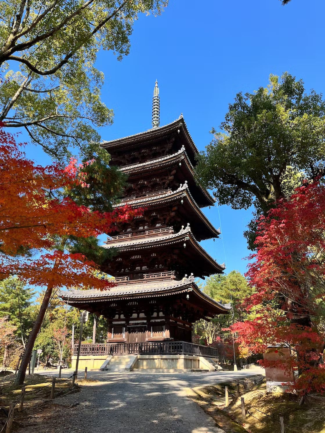 【真作】仁和寺門跡40世/花桝智勝/寿/一文字横物/掛軸☆宝船☆Y-675　JM 6月 仁和寺行事案内 | 世界遺産 真言宗御室派総本山 仁和寺
