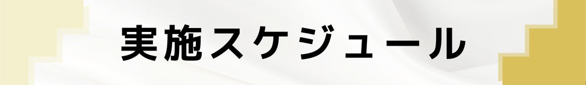 ◆実施スケジュール