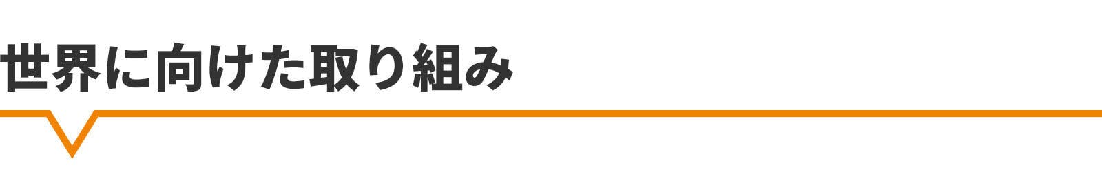 世界に向けた取り組み