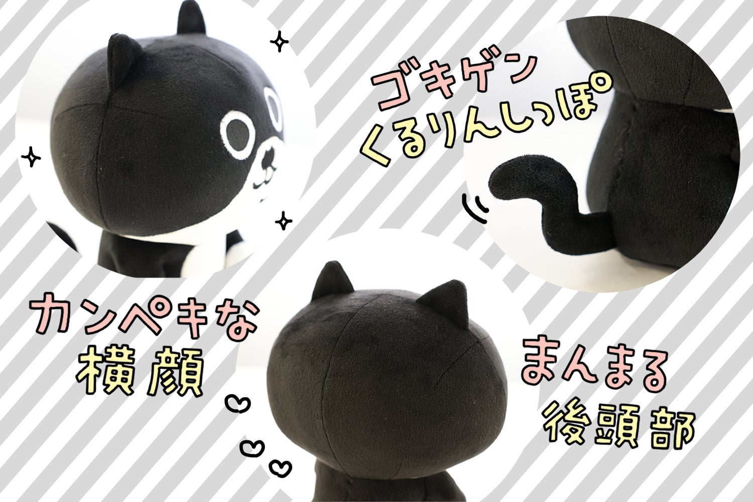 ちょびヒゲ「クロちゃん」のぬいぐるみプロジェクト！ - CAMPFIRE