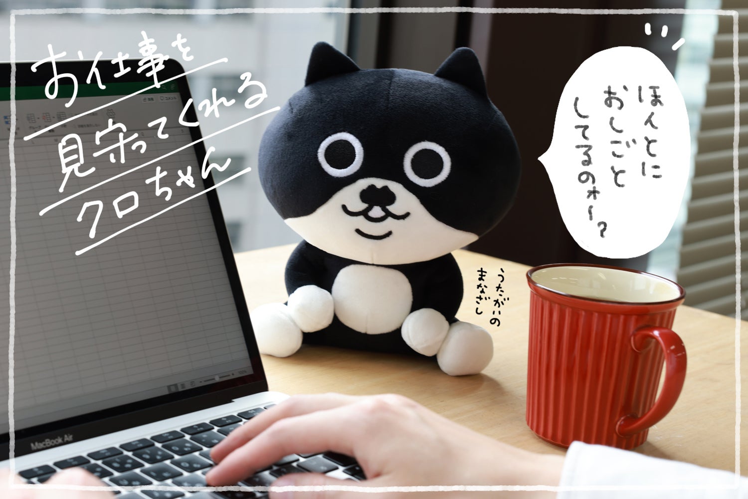 ちょびヒゲ「クロちゃん」のぬいぐるみプロジェクト！ - CAMPFIRE