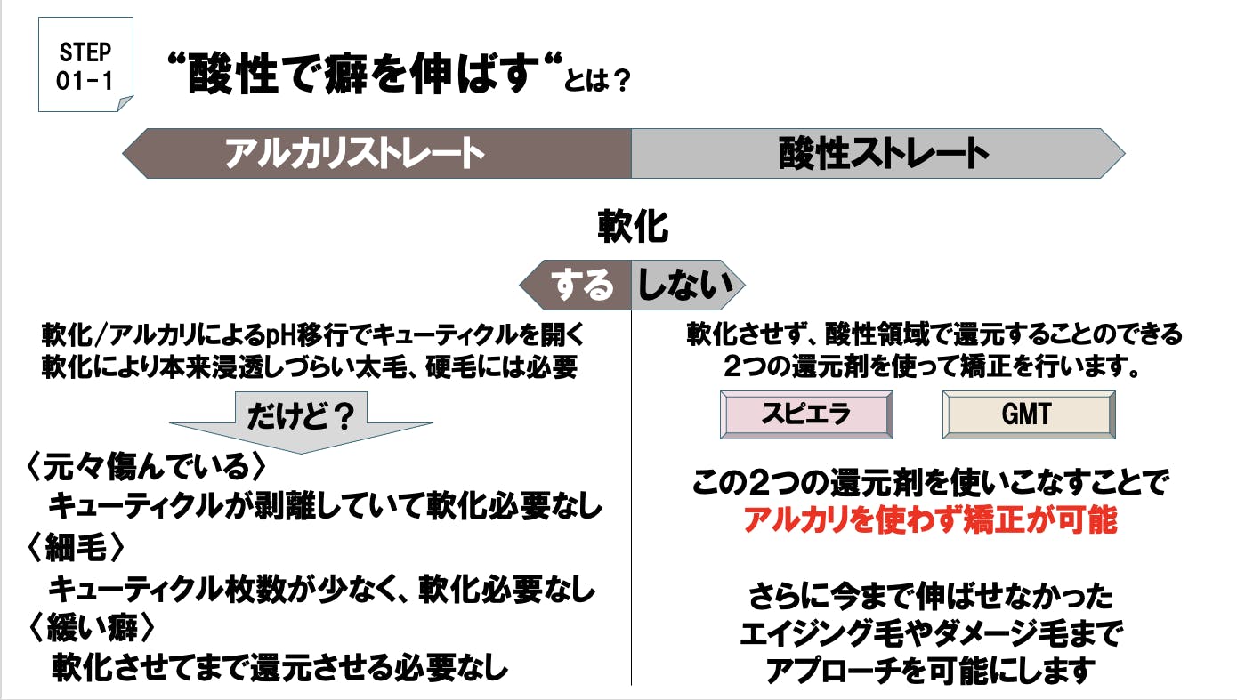 最新版sins酸性ストレート基礎マニュアル CAMPFIREコミュニティ