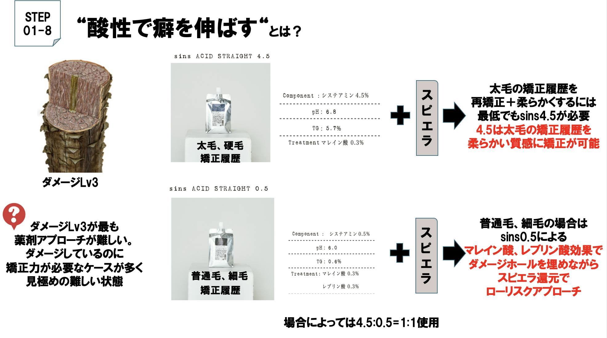 最新版sins酸性ストレート基礎マニュアル CAMPFIREコミュニティ