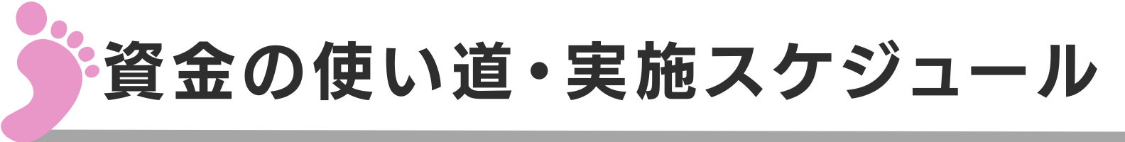 ◆資金の使い道・実施スケジュール