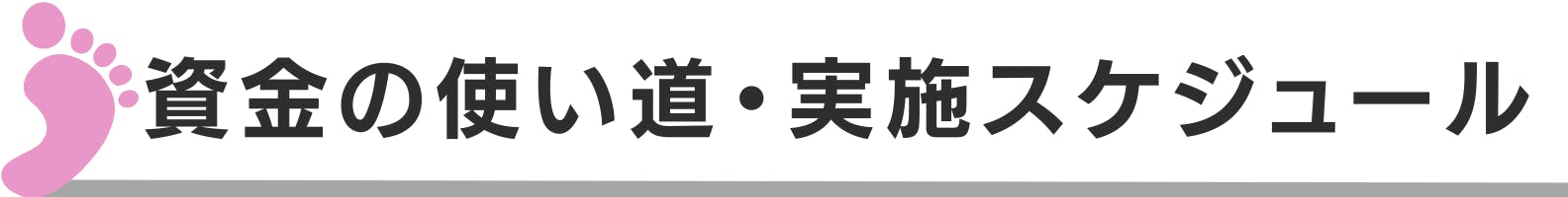 ◆資金の使い道・実施スケジュール