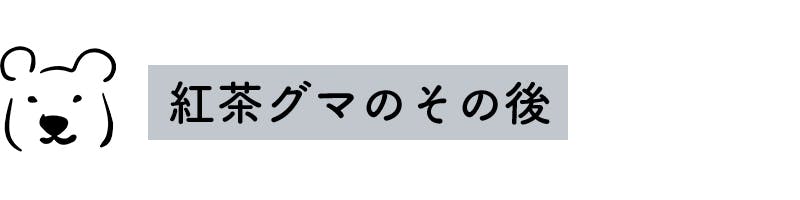 紅茶グマのその後