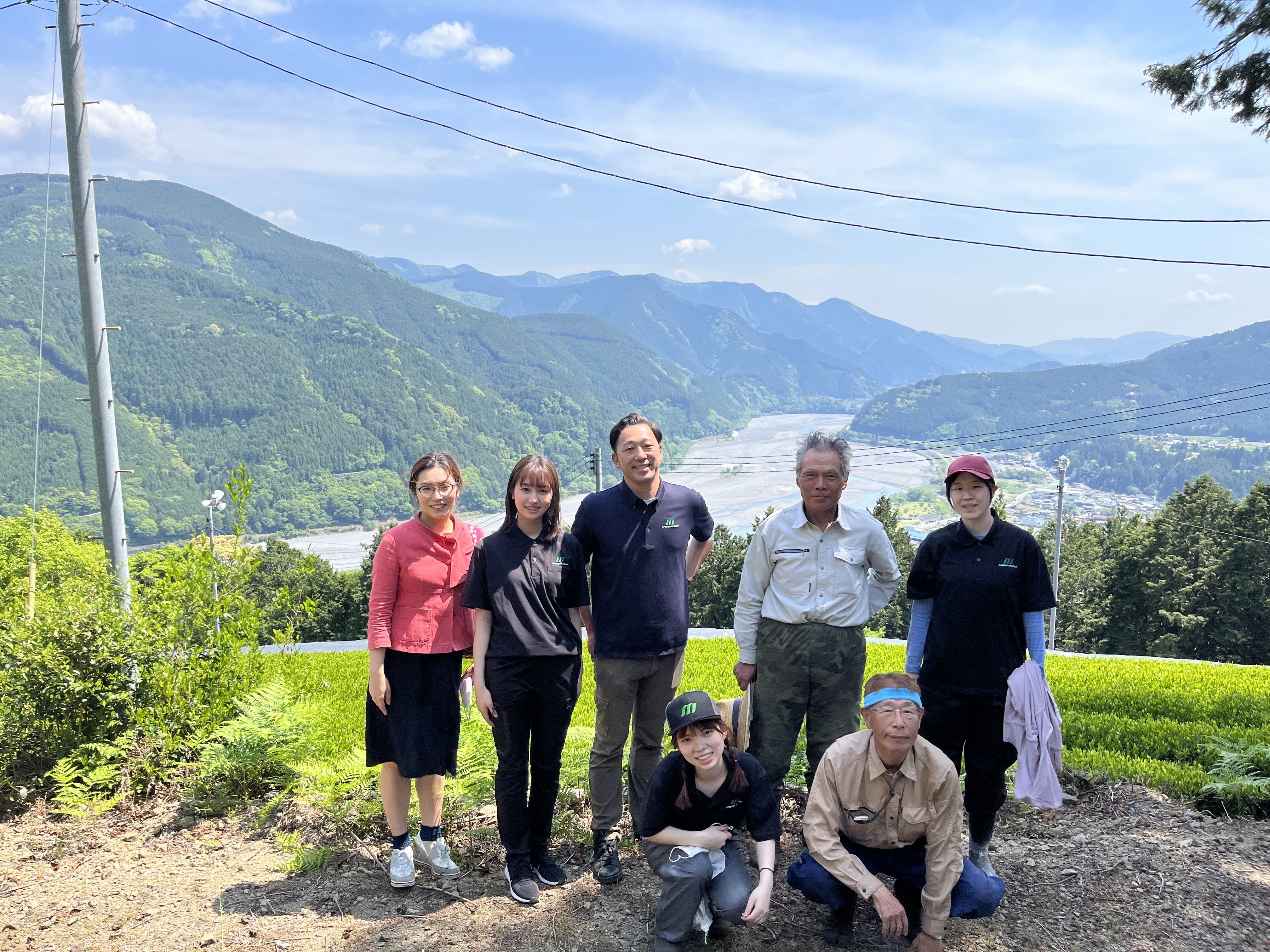 農大生の挑戦】至高の抹茶羊羹と抹茶染めで静岡県川根産の有機抹茶の