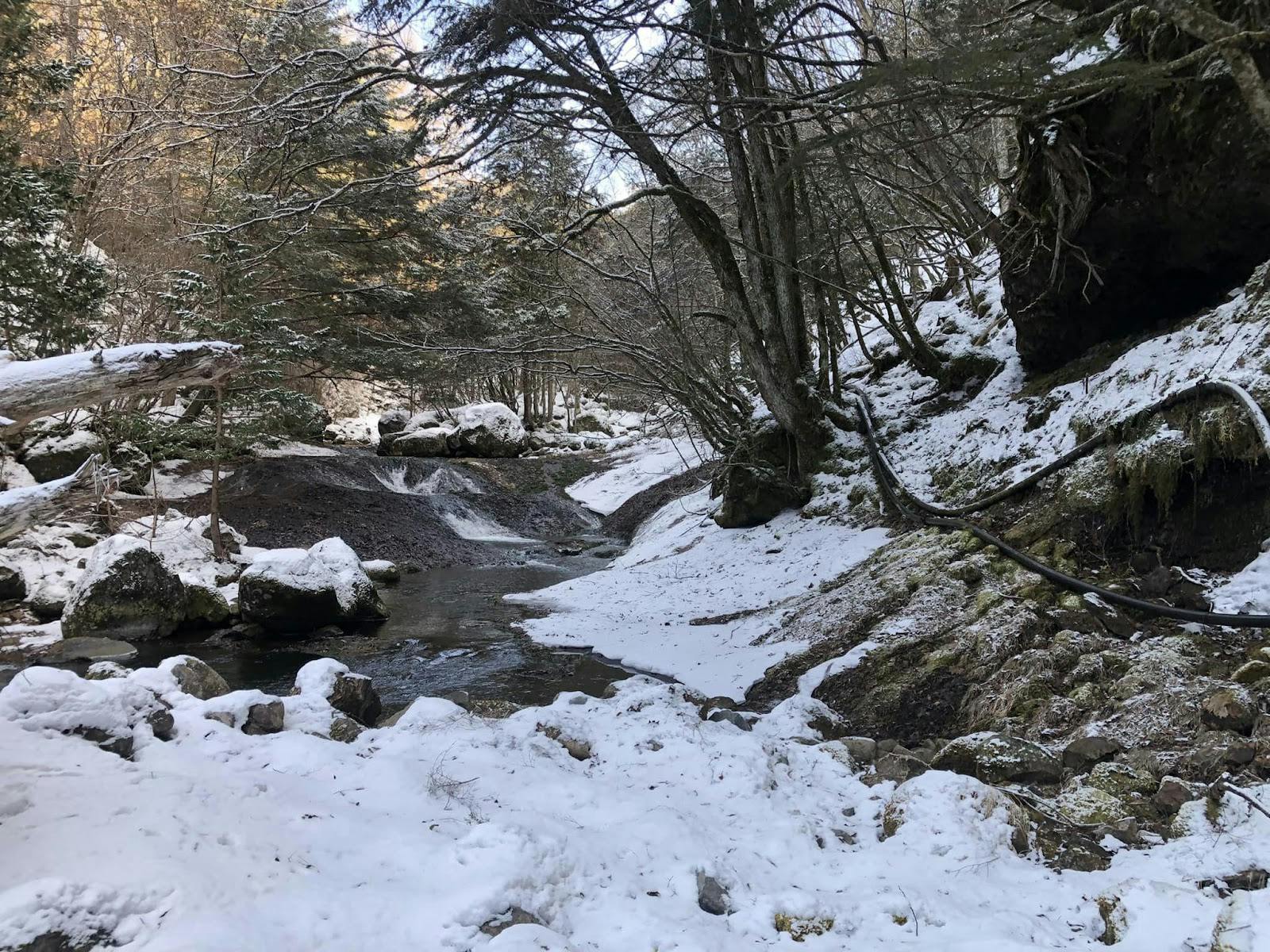 雪の積もった森の中の岩 
自動的に生成された説明