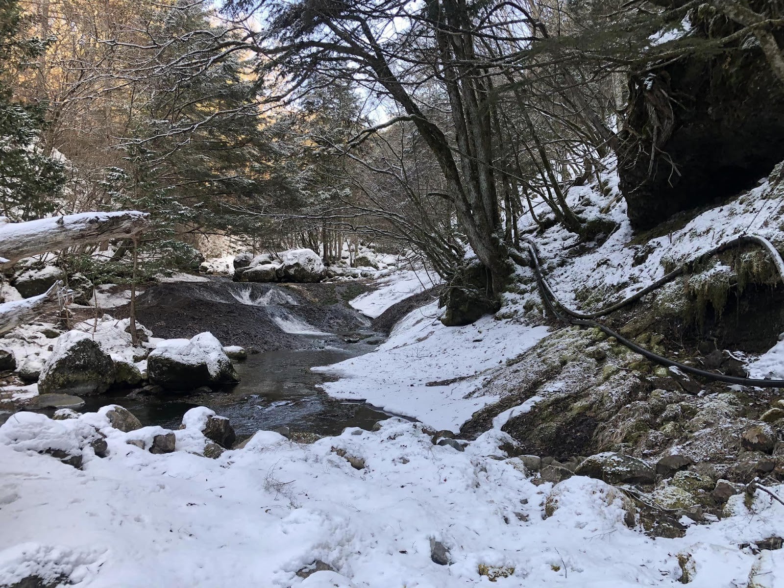 雪の積もった森の中の岩
自動的に生成された説明
