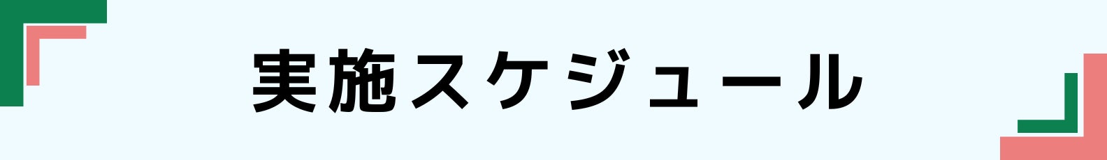 ◆実施スケジュール