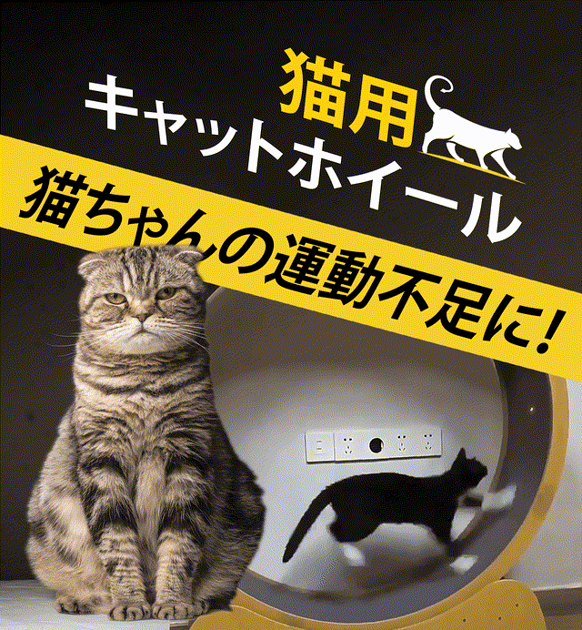 y*@様 猫ちゃんの運動不足解消！　キャットホイール 猫ちゃんの運動不足解消の決定版！【レーザーポインター付き】キャット