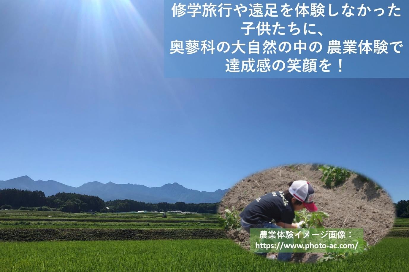 草, 屋外, 自然, フィールド が含まれている画像
自動的に生成された説明