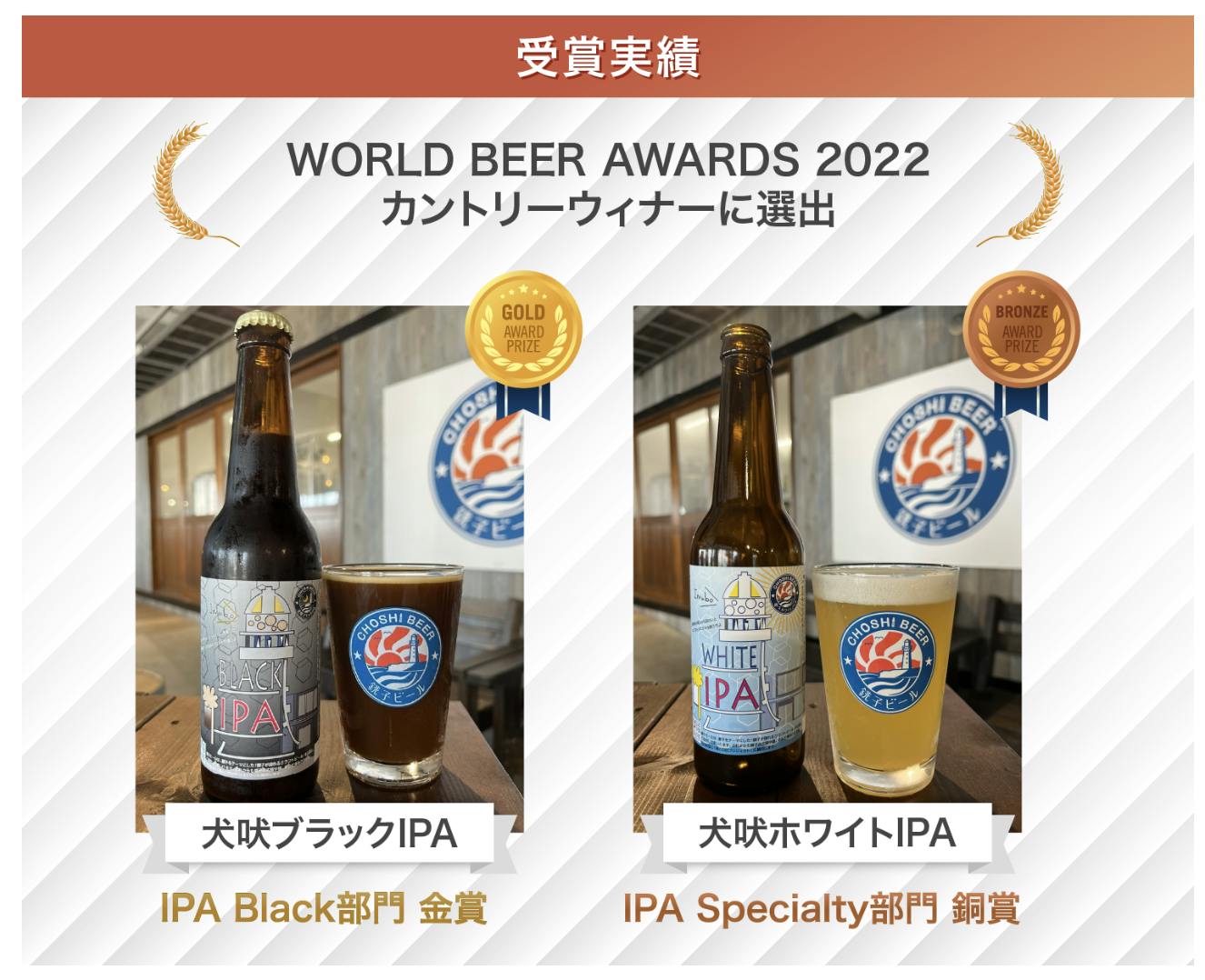 446 ビールにゃんこ限定セット-