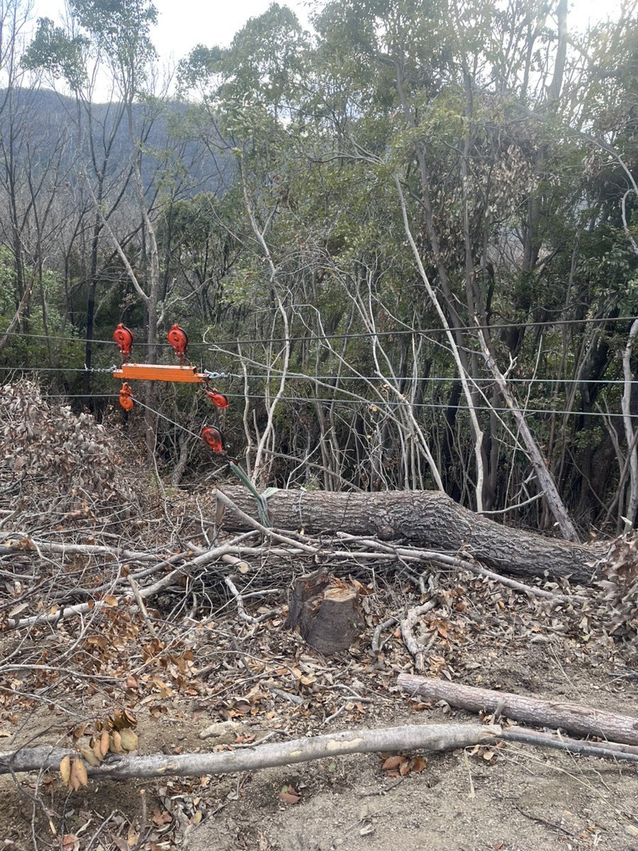 こんな太い木も引っ張れます