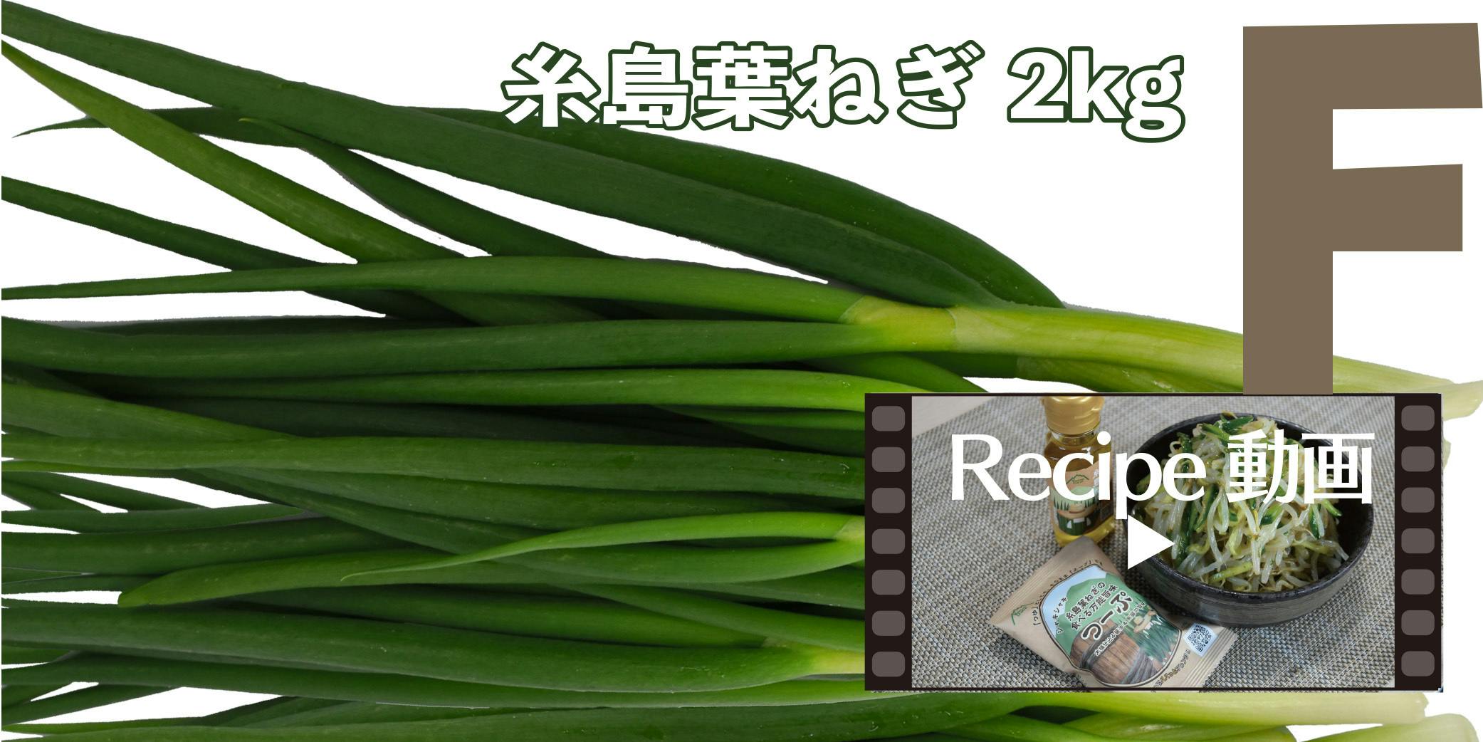 芳醇な香りと独特の甘み「ねぎ料理」を自宅で。秘伝の味を福岡県糸島のネギ農家から - CAMPFIRE (キャンプファイヤー)