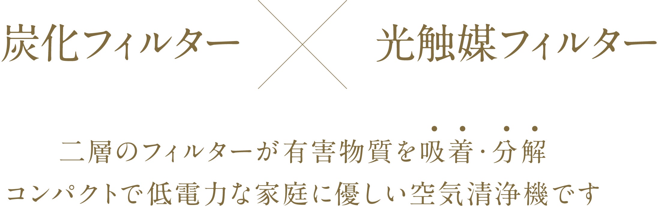 炭化フィルターX光触媒フィルター