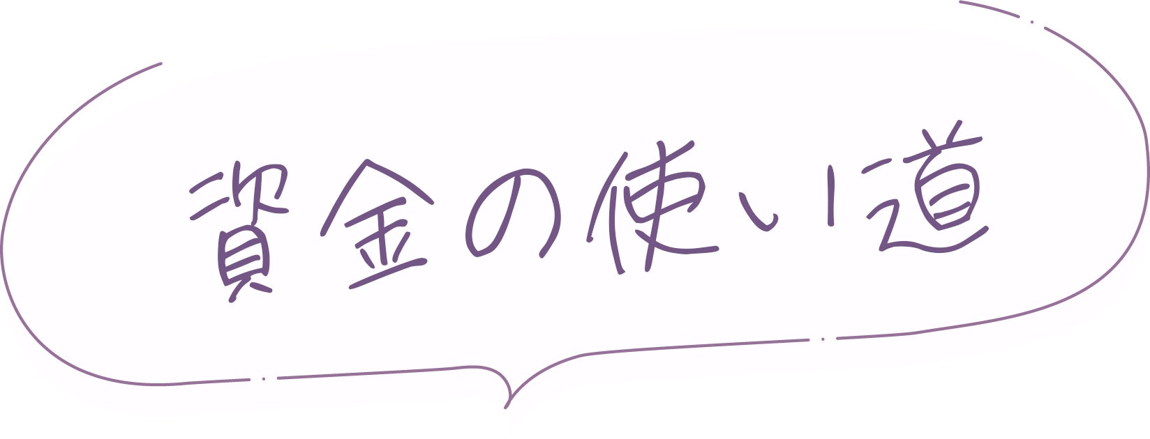 資金の使い道