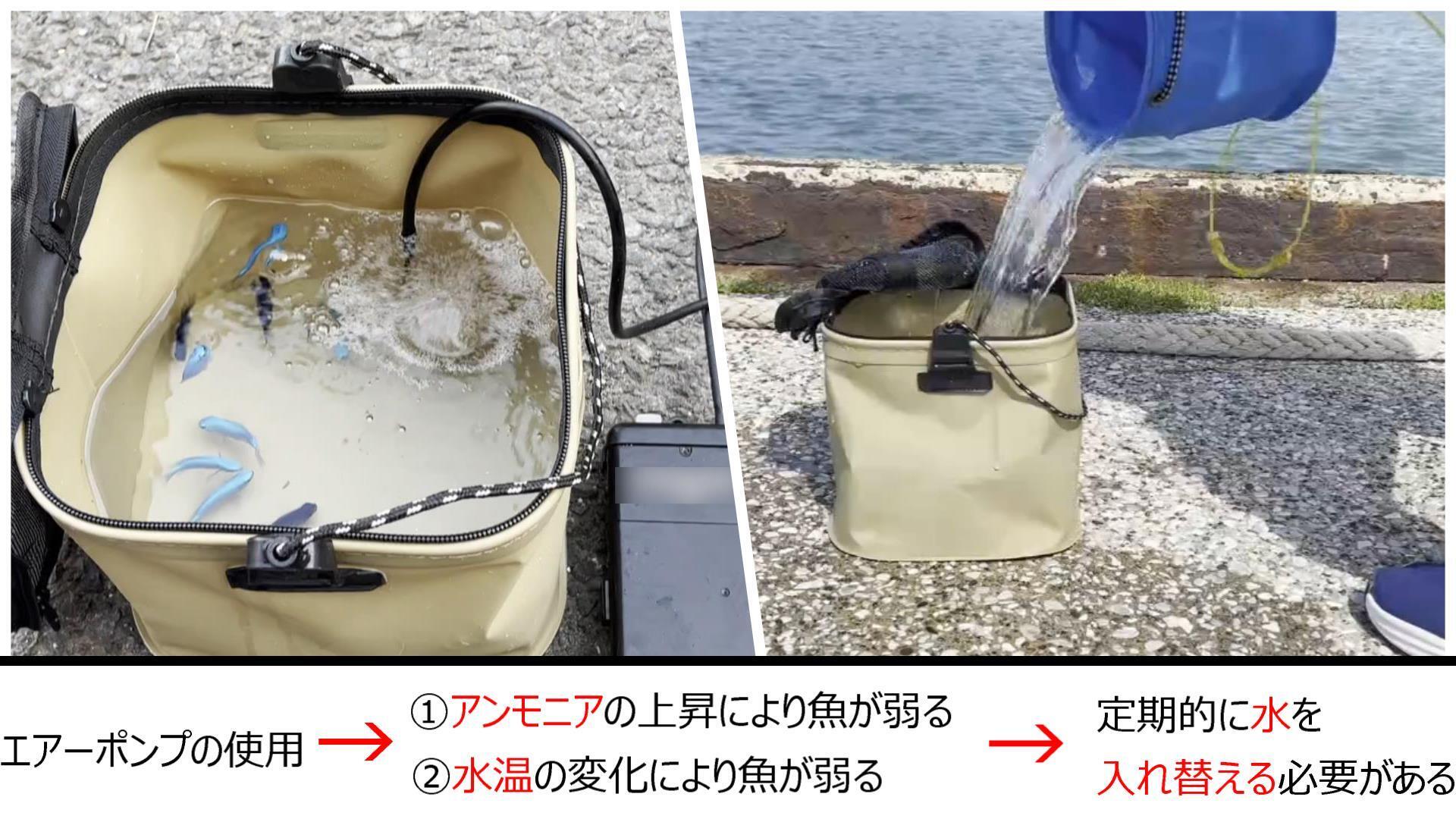 釣り人必見！！『釣果』と『鮮度』をもたらす。あなたの手元に海を再現