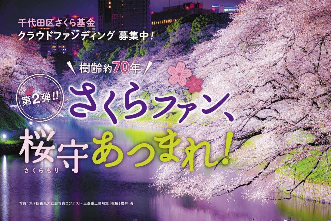 さくらファン、桜守あつまれ！桜の名所として愛されてきた千鳥ヶ淵等の