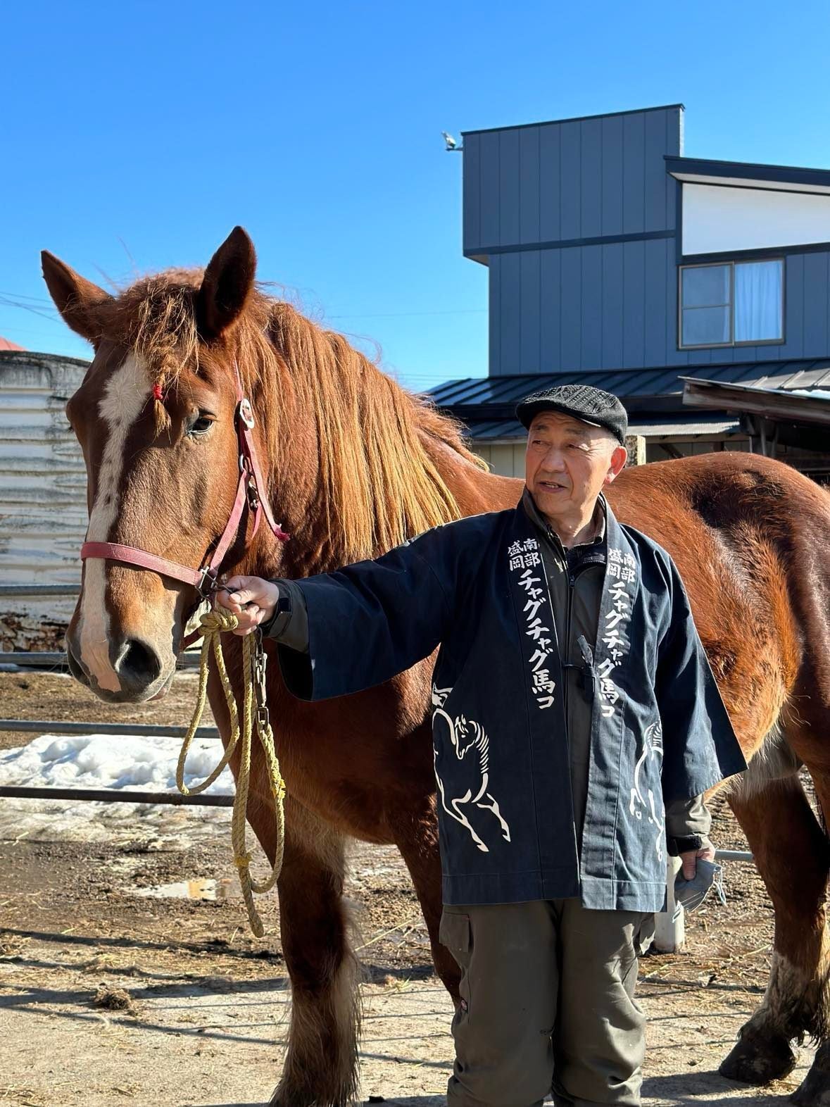 チャグチャグ馬コ共同馬主プロジェクト2023 矢巾町にチャグチャグ馬コ
