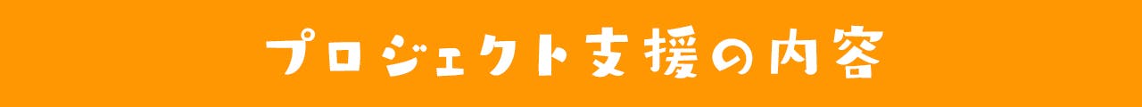 プロジェクト支援の内容